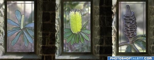 bud, flower, seed pods.